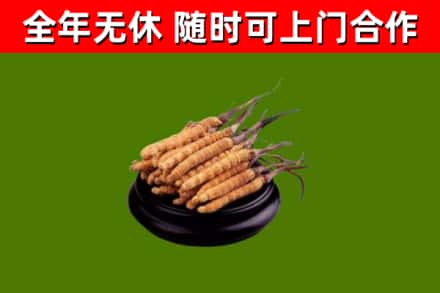 赣州市烟酒回收冬虫夏草.jpg