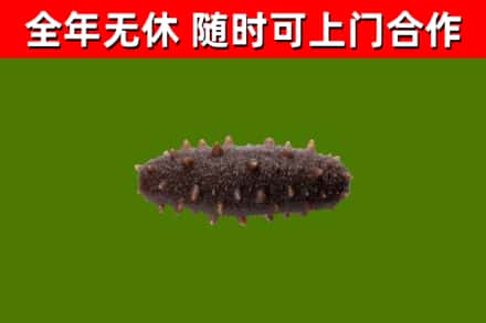 赣州市烟酒回收干海参.jpg